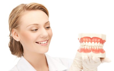 ¿Para qué sirve cada uno de nuestros dientes?